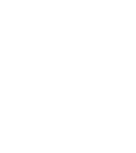 PromptAudit Logo – KI-Datenschutz Schweiz (revDSG)